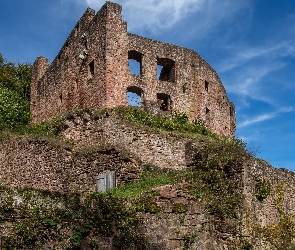 Niemcy, Oberzent, Burg Freienstein, Ruiny, Krzewy, Trawa