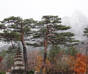 Budowla, Korea Południowa, Mgła, Góry, Sosny