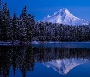 Stany Zjednoczone, Drzewa, Jezioro, Odbicie, Trillium Lake, Mount Hood, Oregon, Góra, Stratowulkan