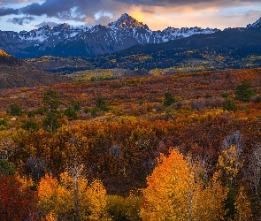 Pomarańczowo-brązowe, Drzewa, Góry, Jesień, Chmury, Stany Zjednoczone, San Juan Mountains, Kolorado, Las, Przełęcz, Dallas Divide