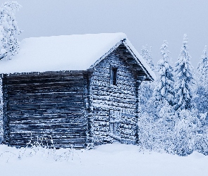 Ośnieżone, Drewniana, Chata, Drzewa, Zima