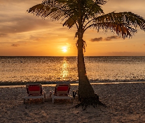 Plaża, Leżaki, Palma, Zachód słońca, Morze