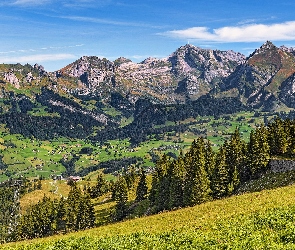 Alpy Berneńskie, Dolina, Góry, Drzewa, Toggenburg, Łąka, Szwajcaria, Domy