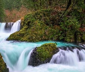Salmon River, Stan Waszyngton, Rzeka, Hrabstwo Skamania, Skały, Wodospad Spirit Falls, Roślinność, Stany Zjednoczone