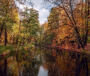 Rzeka, Park, Drzewa, Kolorowe, Jesień
