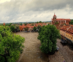 Litwa, Plac, Ratusz, Drzewa, Domy, Rynek, Miasto, Kowno, Stare Miasto