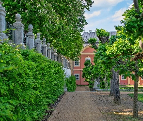 Park, Ogrodzenie, Kasztanowce, Drzewa, Dom