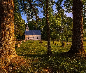 Kościół, Trawa, Cmentarz, Kaplica, Drzewa