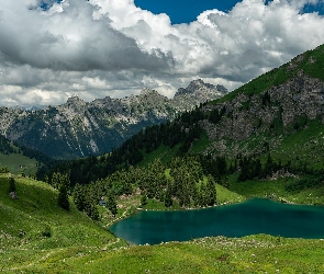 Alpy Berneńskie, Lac Lioson, Góry, Jezioro, Kanton Vaud, Chmury, Szwajcaria, Drzewa