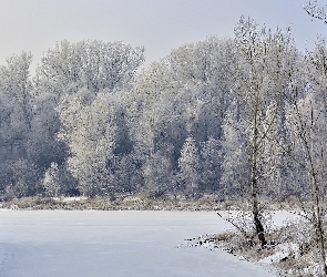 Drzewa, Rzeka, Zaśnieżona, Szron, Zima