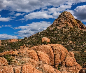 Arizona, Prescott, Skały, Stany Zjednoczone, Rośliny, Góry, Granite Dells