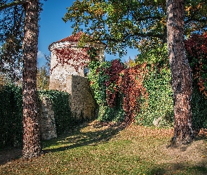 Baszta, Drzewa, Winobluszcz, Mur, Budowla