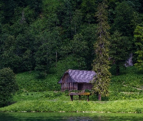 Rzeka, Drzewa, Paśnik, Szopa, Las
