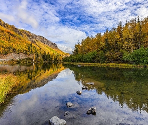 Nowy Jork, Odbicie, Jezioro, Stany Zjednoczone, Drzewa, Jesień, Long Lake