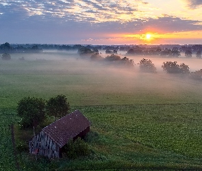 Szopa, Drzewa, Łąka, Wschód słońca, Pola, Mgła