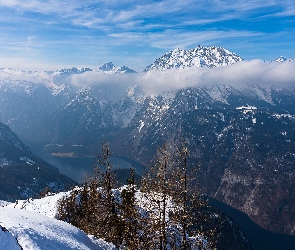 Niemcy, Drzewa, Góry, Zima, Alpy Berchtesgadeńskie, Śnieg