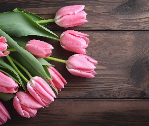 Bukiet, Deski, Tulipany, Różowe, Kwiaty