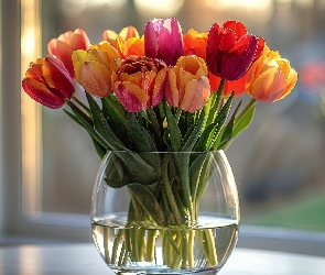 Kolorowe, Tulipan, Wazon Kwiat, Tulipany, Bukiet