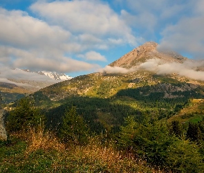 Skała, Chmury, Rośliny, Drzewa, Góry