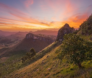 Zachód słońca, Góry, Region Hawkes Bay, Drzewa, Wzgórza, Nowa Zelandia, Góry Te Mata Peak