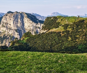 Łąka, Skały, Zalesione, Góry
