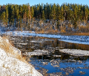 Rzeka, Drzewa, Las, Kra, Zima