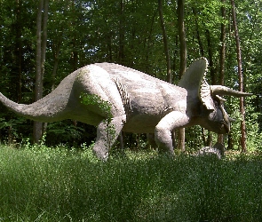 Las, Trawa, Triceratops