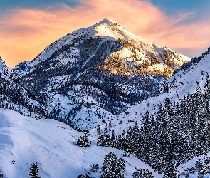 Lasy, Zima, Kolorado, Stany Zjednoczone, Góra, Mount Abrams