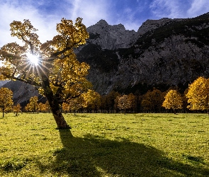 Promienie słońca, Jesień, Dolomity, Góry, Las, Drzewa