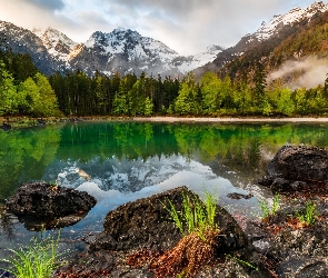 Austria, Drzewa, Góry, Jezioro Odseen