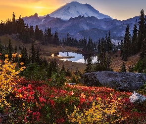 Góry, Skała, Drzewa, Krzewy, Jezioro, Stratowulkan Mount Rainier, Tipsoo Lake, Waszyngton, Zachód słońca, Stany Zjednoczone