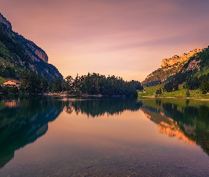 Odbicie, Skały, Góry, Drzewa, Jezioro Seealpsee, Szwajcaria, Alpy