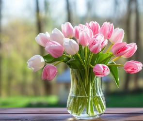 Różowe, Okno, Parapet, Kwiaty, Tulipany