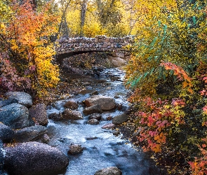 Drzewa, Krzewy, Jesień, Most, Colorado Springs, Stany Zjednoczone, Potok, Kolorado, Kolorowe, North Cheyenne Creek, Kamienie
