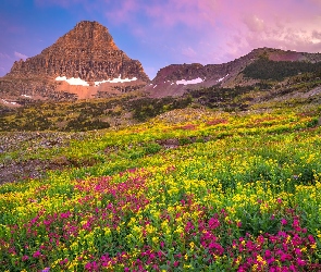 Park Narodowy Glacier, Montana, Łąka, Stany Zjednoczone, Niebo, Mount Reynolds, Polana, Kwiaty, Góra