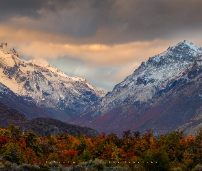 Patagonia, Drzewa, Argentyna, Ośnieżone, Roślinność, Góry, Park Narodowy Los Glaciares, Jesień