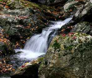 Przyroda, Liście, Strumień, Jesienne, Kamienie, Potok, Natura, Las, Wodospad