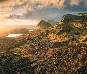 Wzgórza, Wyspa Skye, Góry, Drzewo, Quiraing, Jeziora, Szkocja, Wzgórze