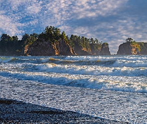 Drzewa, Plaża Rialto, Fale, Skały, Park Narodowy Olympic, Waszyngton, Półwysep, Olympic Peninsula, Stany Zjednoczone, Morze