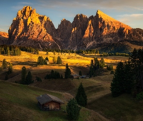Dolomity, Domy, Drzewa, Włochy, Drewniane, Val Gardena, Góry Sassolungo, Płaskowyż Seiser Alm, Dolina
