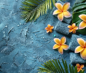 Ręczniki, Liście, Kwiat, Plumeria