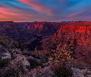Góry, Grand Canyon, Park Narodowy Wielkiego Kanionu, Wielki Kanion Kolorado, Arizona, Rośliny, Stany Zjednoczone, Zachód słońca
