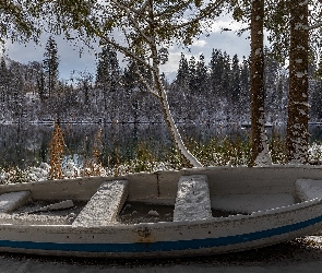 Gryzonia, Śnieg, Łódka, Szwajcaria, Drzewa, Jezioro Cresta, Góry