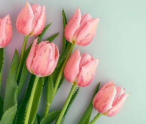 Tulipany, Tło, Seledynowe, Listki, Różowe