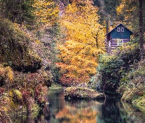Drzewa, Dom, Las, Skała, Park Narodowy Czeska Szwajcaria, Jesień, Czechy, Rzeka Kamienica