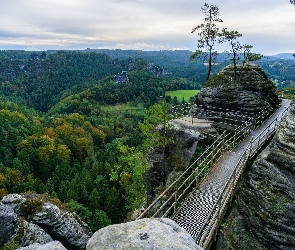 Drzewa, Taras widokowy, Góry Połabskie, Las, Park Narodowy Saskiej Szwajcarii, Skały, Niemcy, Pomost