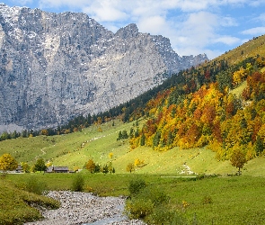 Domy, Drzewa, Strumyk, Drogi, Kolorowe, Góry, Jesień