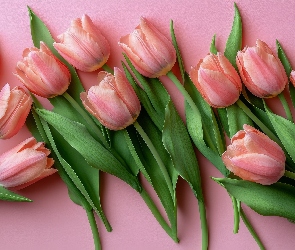 Tło, Listki, Różowe, Tulipany