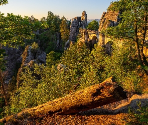 Skały, Powalone, Formacja Bastei, Drzewa, Park Narodowy Saskiej Szwajcarii, Most, Niemcy, Drzewo