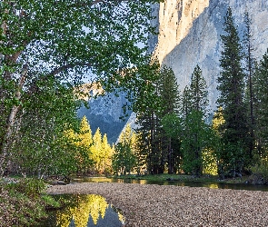 Kałuże, Cathedral Beach, Góry, Teren, Kalifornia, Drzewa, Stany Zjednoczone, Park Narodowy Yosemite